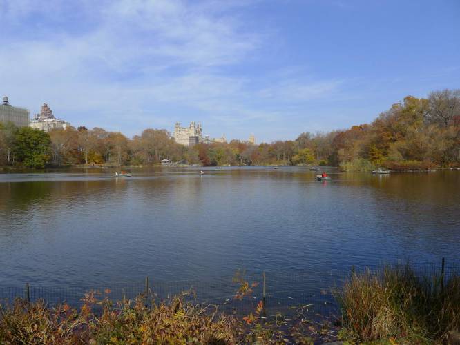 USA_2011-11-20 12-29-02